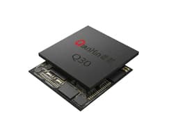 Q30 FPGA Core Iris Chip – Single-Chip Solution for Iris Recognition and Matching with Strong Encoding & Matching Capability — view 2